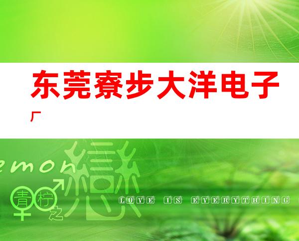 东莞寮步大洋电子厂