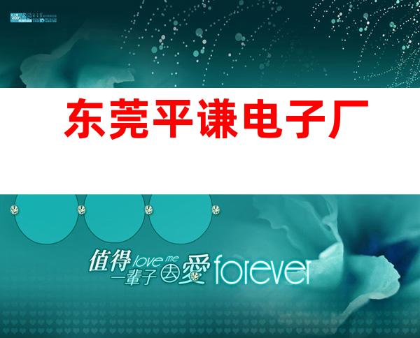 东莞平谦电子厂