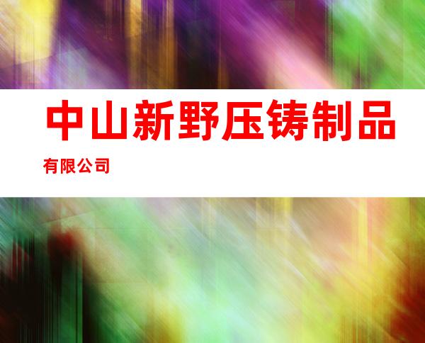 中山新野压铸制品有限公司