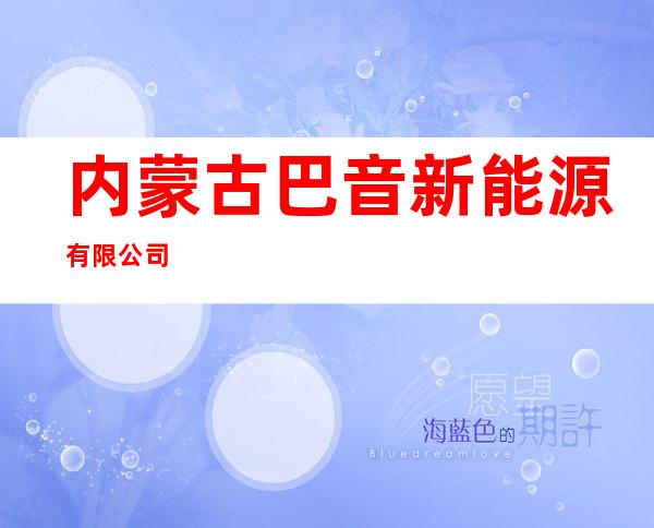 内蒙古巴音新能源有限公司