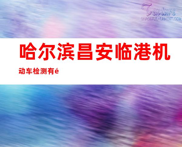 哈尔滨昌安临港机动车检测有限责任公司