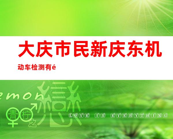 大庆市民新庆东机动车检测有限公司