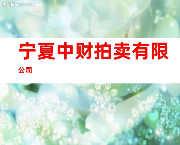 宁夏中财拍卖有限公司
