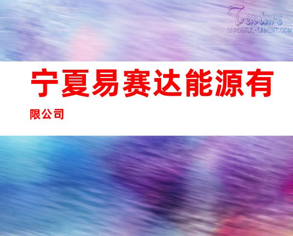 宁夏易赛达能源有限公司