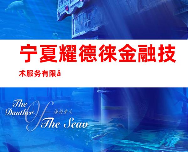 宁夏耀德徕金融技术服务有限公司