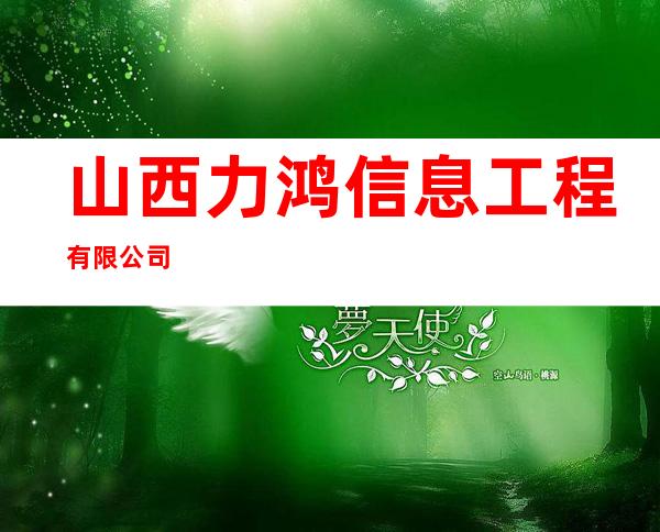 山西力鸿信息工程有限公司
