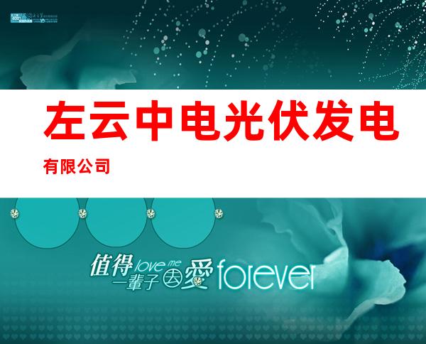 左云中电光伏发电有限公司