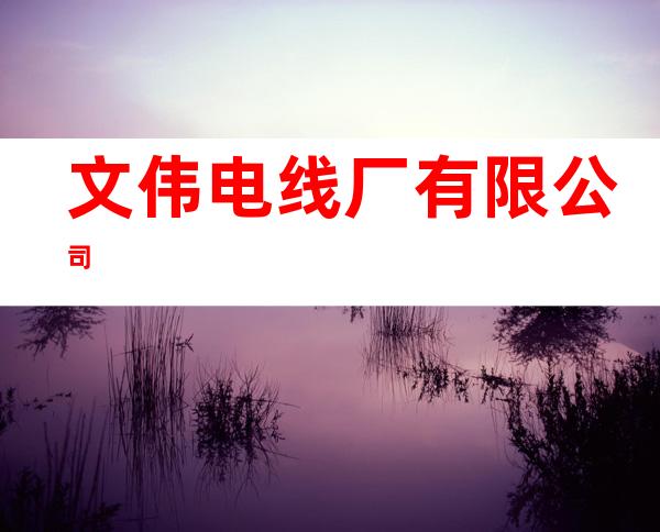 文伟电线厂有限公司