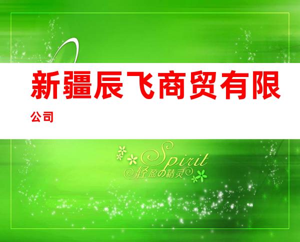 新疆辰飞商贸有限公司