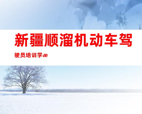 新疆顺溜机动车驾驶员培训学校（有限公司）
