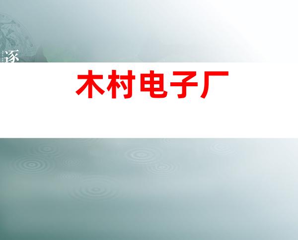 木村电子厂
