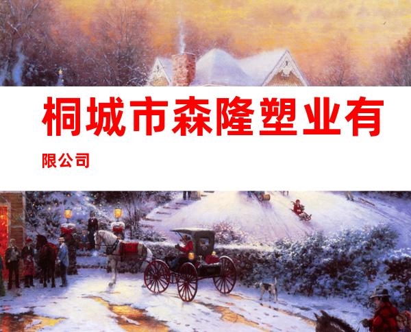 桐城市森隆塑业有限公司
