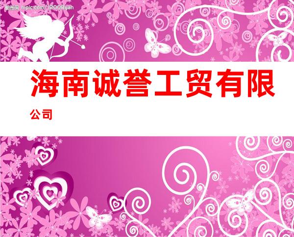 海南诚誉工贸有限公司