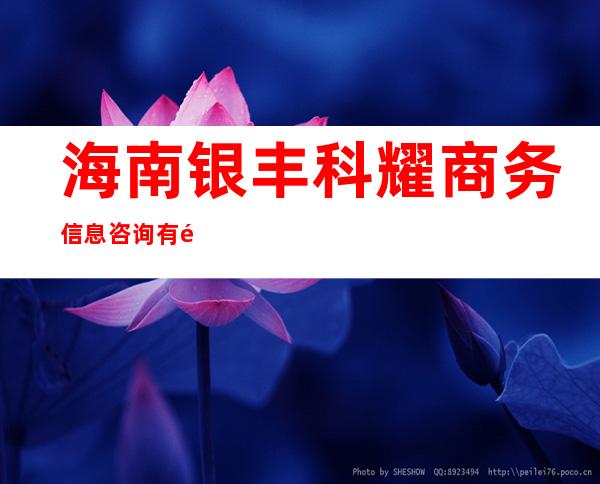 海南银丰科耀商务信息咨询有限公司