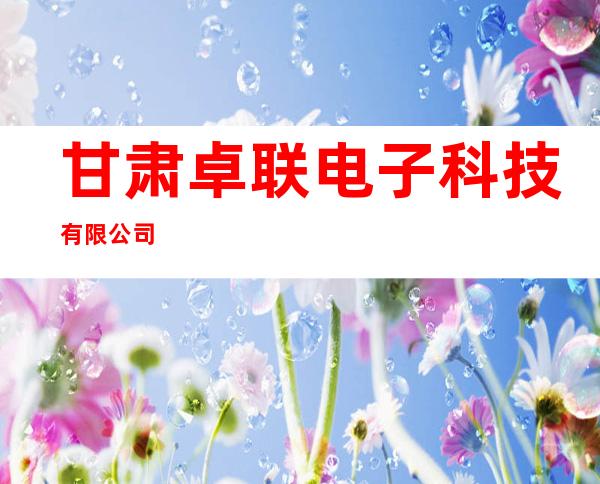 甘肃卓联电子科技有限公司