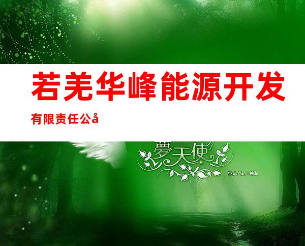 若羌华峰能源开发有限责任公司