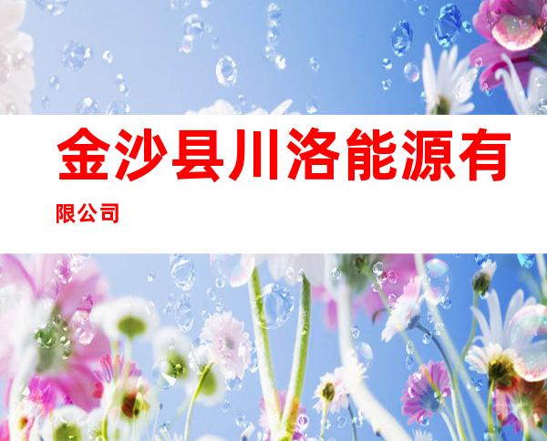 金沙县川洛能源有限公司