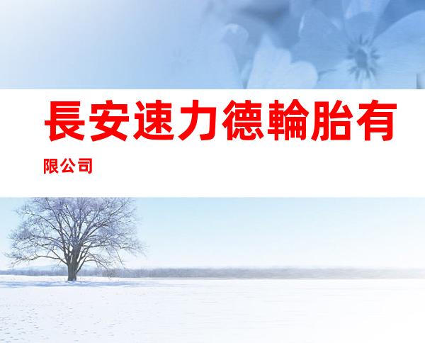 長安速力德輪胎有限公司