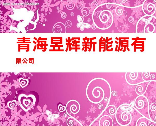 青海昱辉新能源有限公司