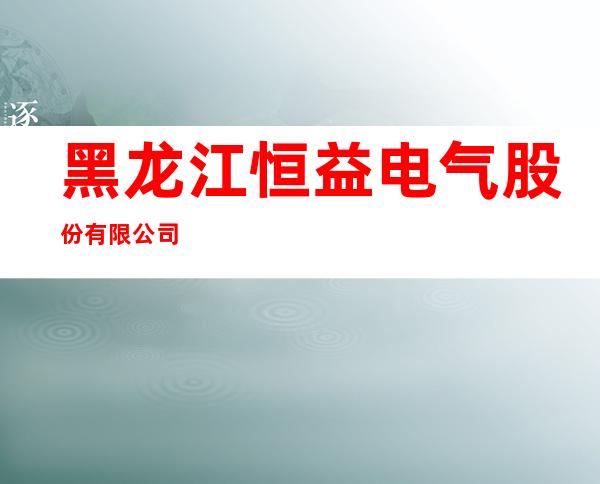 黑龙江恒益电气股份有限公司